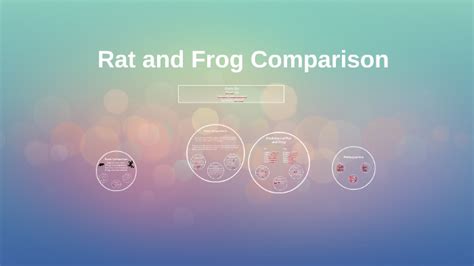 Rat and Frog Anatomy Comparison by Eyad Ali on Prezi