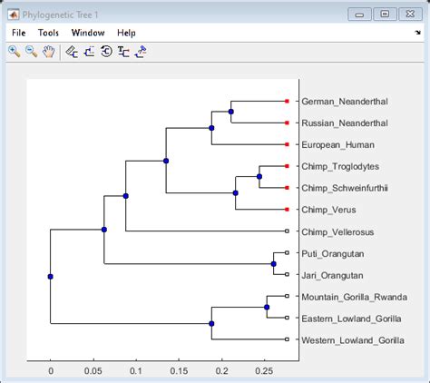 Phylogenetic Analysis