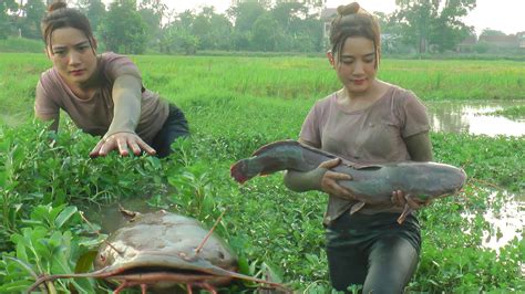 Harvesting Giant Catfish And Fruit Picking At The Farm Spring Garden