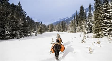 Bozeman, Montana: Mountains and Museums