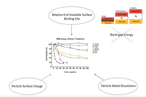 IJMS | Free Full-Text | The Toxicity of Nanoparticles Depends on Multiple Molecular and ...