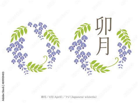 和風月名と誕生月花／卯月、4月、藤 Stock Vector Adobe Stock