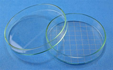 Petri Dishes Glass With Grid Vwr