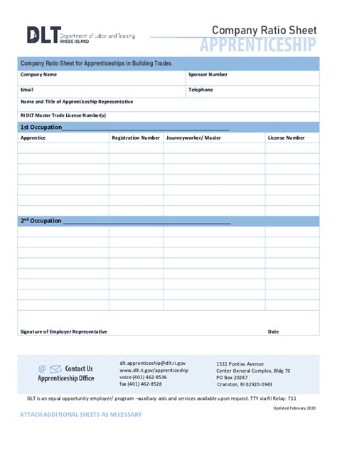 Fillable Online Dlt Ri Balance Sheet With Financial Ratios Templates