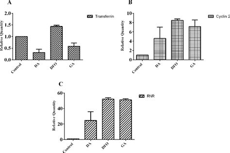 Relative Gene Expression Of Iron Dependent Genes Rt Qpcr Analysis Of