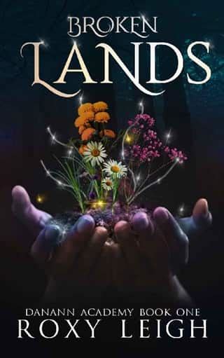 Broken Lands By Roxy Leigh Epub The Ebook Hunter