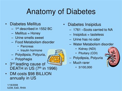 Ppt Basic Diabetes Mellitus Pathology And Diagnosis Coding Powerpoint Presentation Id 9235742