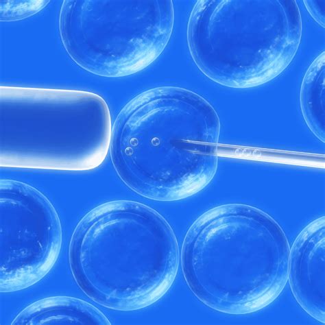 Stem Cell Therapy Prices Worldwide 2024