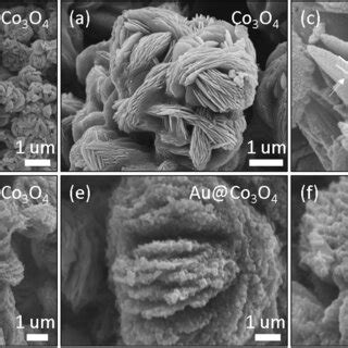 Fe Sem Images Of Ac In Situ Grown Co O Over Ito Electrode With