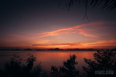 日落夕阳太阳树木丛林森林树树木树林森林自然摄影背景图片免费下载 觅知网