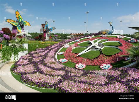 Dubai United Arab Emirates December Dubai Miracle Garden