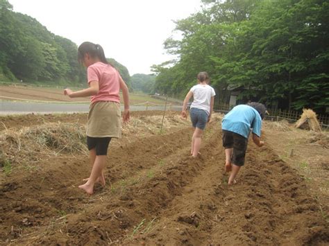 寺家の空の下で 〜花と子ども〜 森ノオト