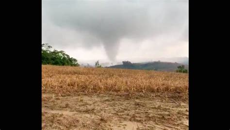 Tornado no Paraná arranca telhados e árvores Vídeo impressiona