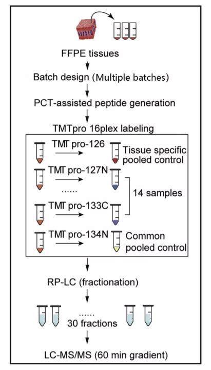 Tmt™ Tandem Mass Tag™ Technology Westlake Omics ｜ 西湖欧米（杭州）生物科技有限公司