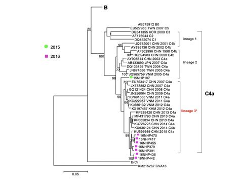 Phylogenetic Tree IMAGE EurekAlert Science News Releases