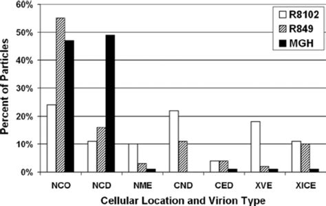 Cellular Distribution Of Virus Particles The Cellular Distribution And