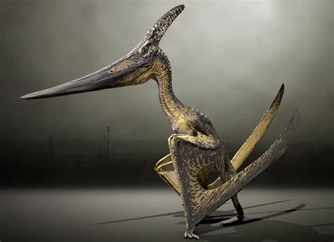 Pteranodon | Dinosaur Sculpture