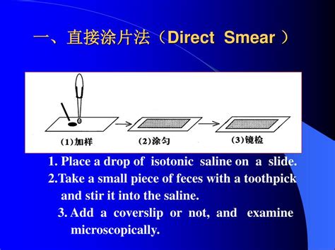 Ppt 寄生虫病学粪便检查（一 ） Powerpoint Presentation Free Download Id3523659