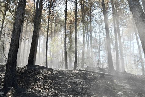 Po Ar Na Krasu Pod Nadzorom Pono I Bo Na Terenu Gasilcev N