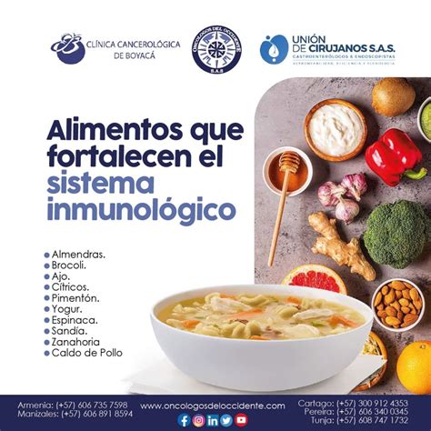 Alimentos Que Fortalecen El Sistema Inmunológico • Oncólogos Del