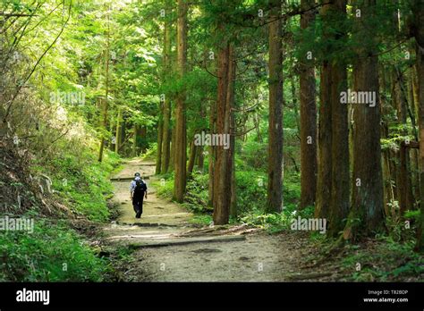 Japan Honshu Island Chubu Region Nagano Prefecture Kiso Valley