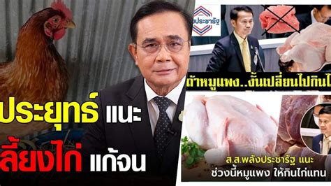 สส พรรคพลังประชารัฐ แนะหมูราคาแพงให้กินไก่