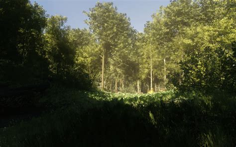 God rays through the forest : r/SkyrimPorn