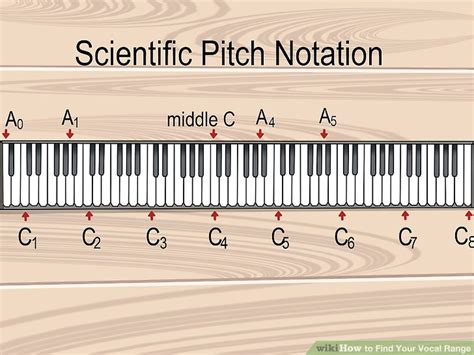 6 Easy Ways To Find Your Vocal Range With Pictures