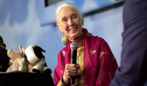 On Her 86th Birthday, Check Out the Jane Goodall Documentary Trailer We ...