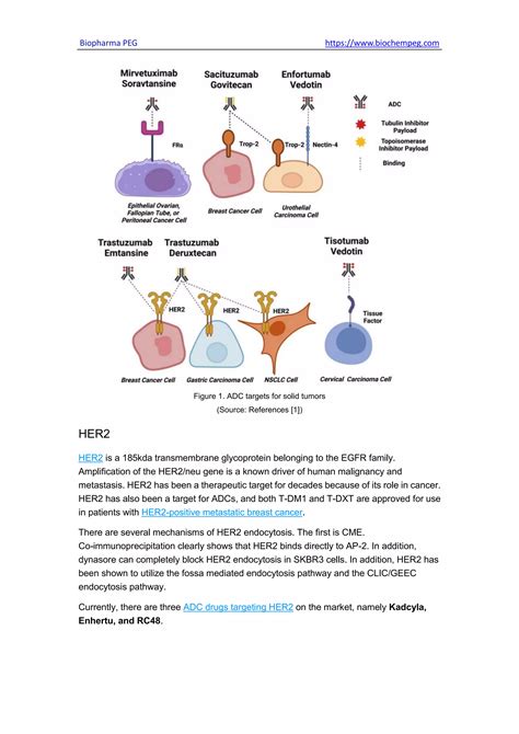 Summary Of Adc Targets For Solid Tumors Hematological Tumors Pdf