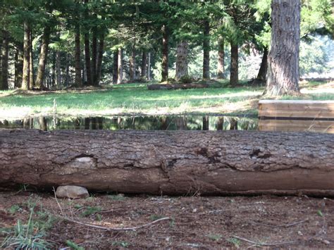 Our Facility — Forest Reach Stables, LLC