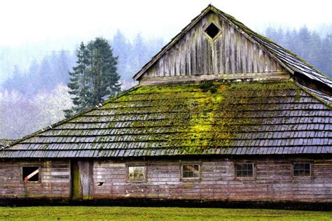 Barn In The Moss Stock Image Image Of Roofing Wooden