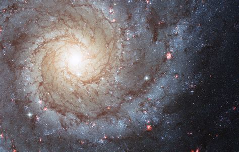 How Spiral Galaxies Get Their Arms - SpaceRef