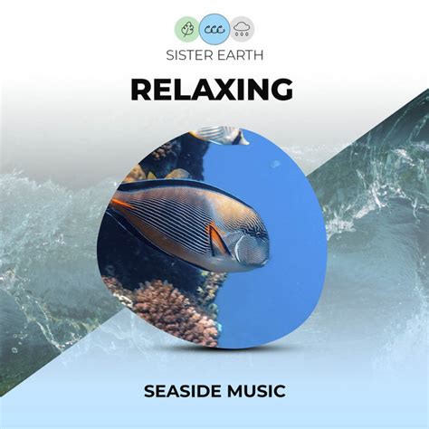 Relaxing Seaside Music Album By Sleep Waves Spotify