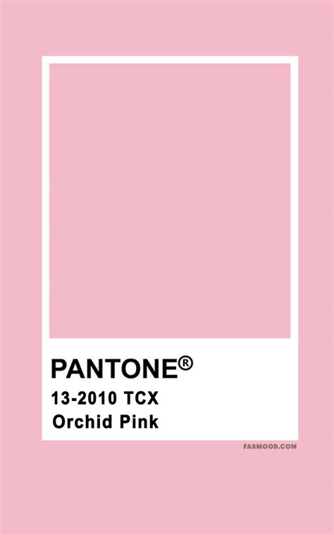 Pantone Orchid Pantone Color Pantone Colour Palettes 55 Off