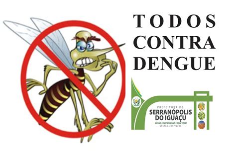 Frases Sobre A Dengue - Frase Contra A Dengue - RETOEDU