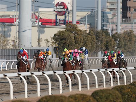 【川崎・川崎スパーキングスプリント結果】キモンルビーが逃げ切り久々の重賞v 競馬ニュース