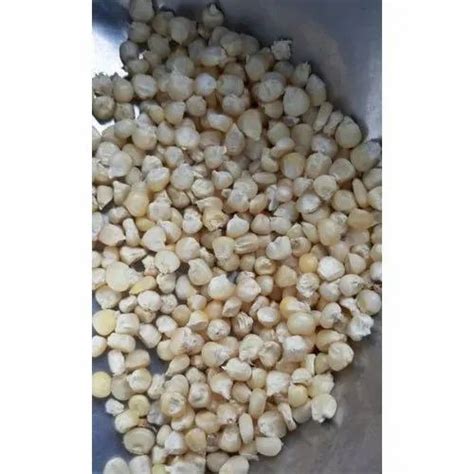 Organic White Corn Seed Packaging Type PP Bag Max 8 12 At Rs 120