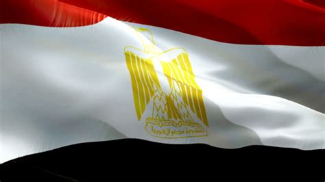 210+ Flag Of Cairo Egypt Stock Videos and Royalty-Free Footage - iStock