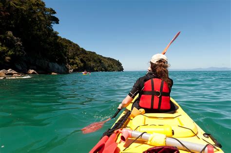 Location De Paddle Stepper Et De Kayak Fond Transparent Avec Sea Sun