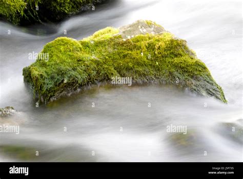 solid as a rock Stock Photo - Alamy