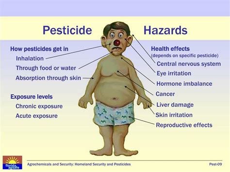 Exposure To Pesticides Symptoms