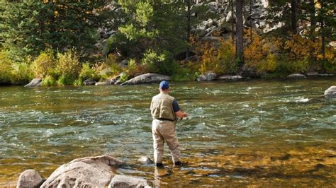 Premium Photo Fly Fisherman At Taylor River Colorado