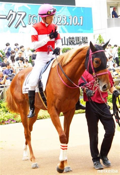 ショウナンナツゾラ Shonan Natsuzora 競走馬データ Netkeiba