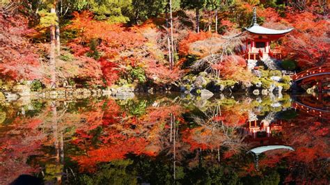 極上の紅葉の水鏡 煌びやかな秋の醍醐寺 京都もよう Kyoto Moyou