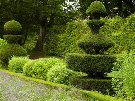 Topiary Shape Shifters Garden Design