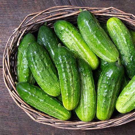 The 9 Best Climbing (Vine) Cucumber Varieties in 2024 - Backyard Gardeners Network