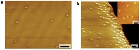 Stm And High Resolution Stm Images Of Pt Cu This Figure Has