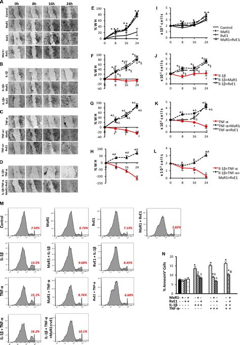 Frontiers Maresin And Resolvin E Promote Regenerative Properties