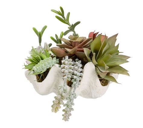 Faux Clam Succulent Pottery Barn Faux Succulents Faux Plants